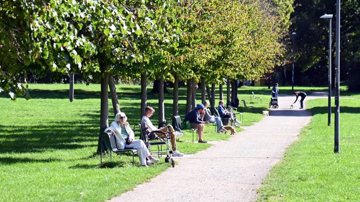 23.09.2026 Köln. Wetter. Herbst. Noch einmal Sonne tanken im Lentpark. Foto: Alexander Schwaiger