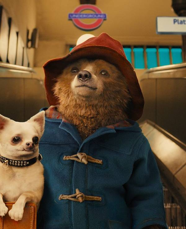 Das Schild „Auf der Rolltreppe müssen Hunde getragen werden“ nimmt der Großstadtneuling Paddington sehr genau ... (Bild: RTL / P&Co. Ltd.SC 2014. Licensed on behalf of Studiocanal S.A. by Copyrights Group)