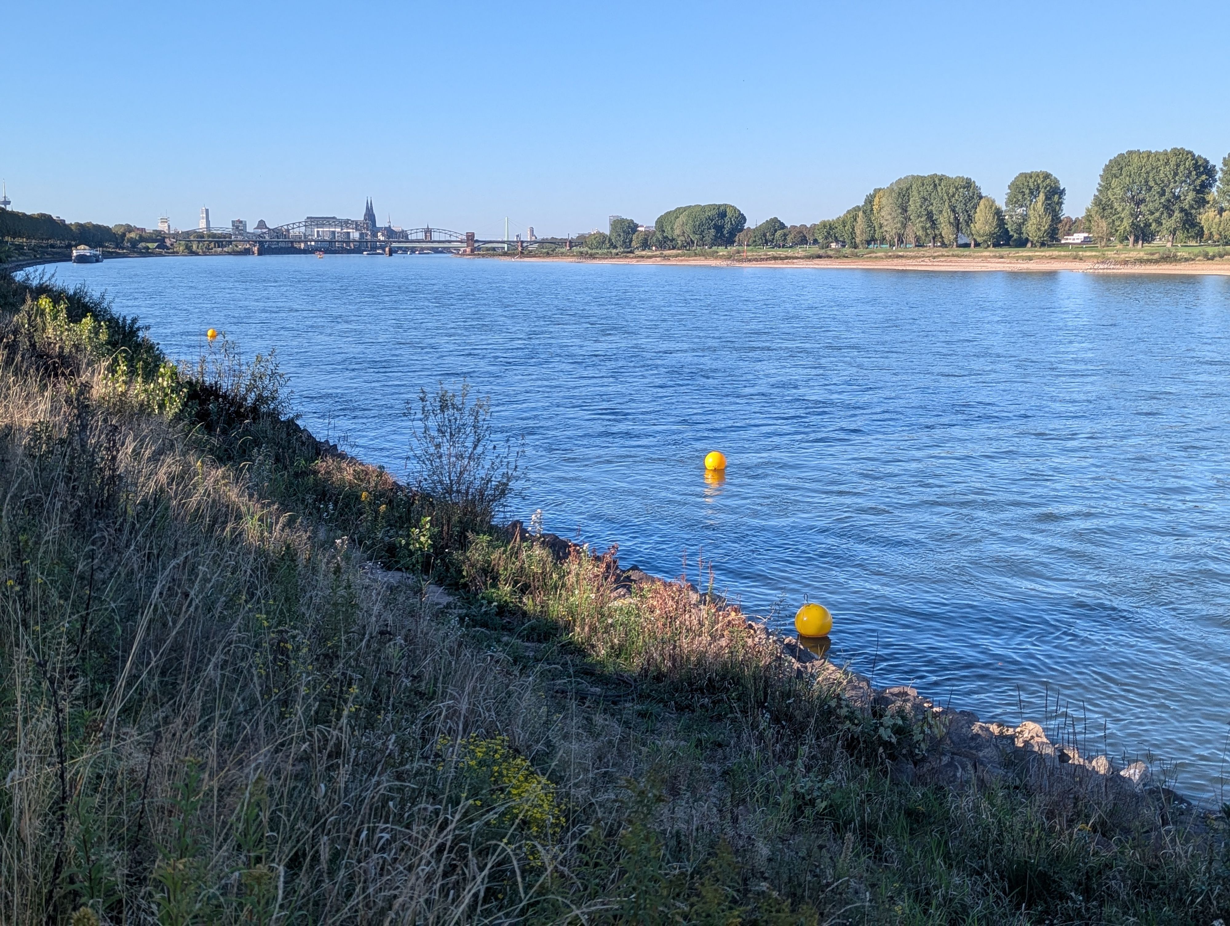 Im Rhein sind zwei kugelförmige Bojen nahe des Ufers zu sehen.