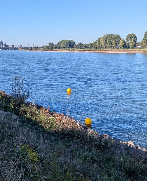 Im Rhein sind zwei kugelförmige Bojen nahe des Ufers zu sehen.