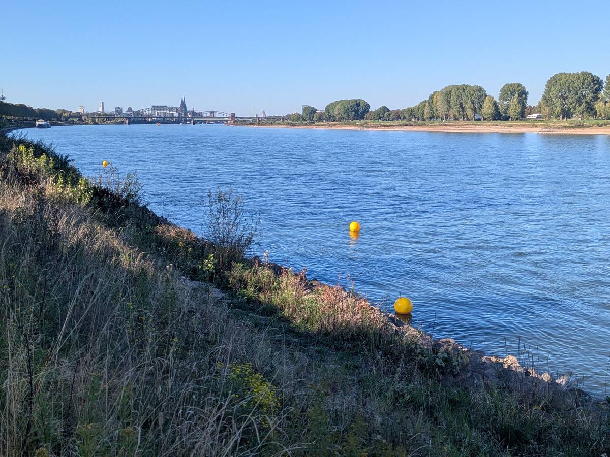 Im Rhein sind zwei kugelförmige Bojen nahe des Ufers zu sehen.