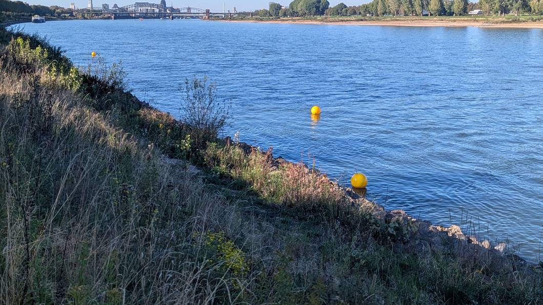 Im Rhein sind zwei kugelförmige Bojen nahe des Ufers zu sehen.
