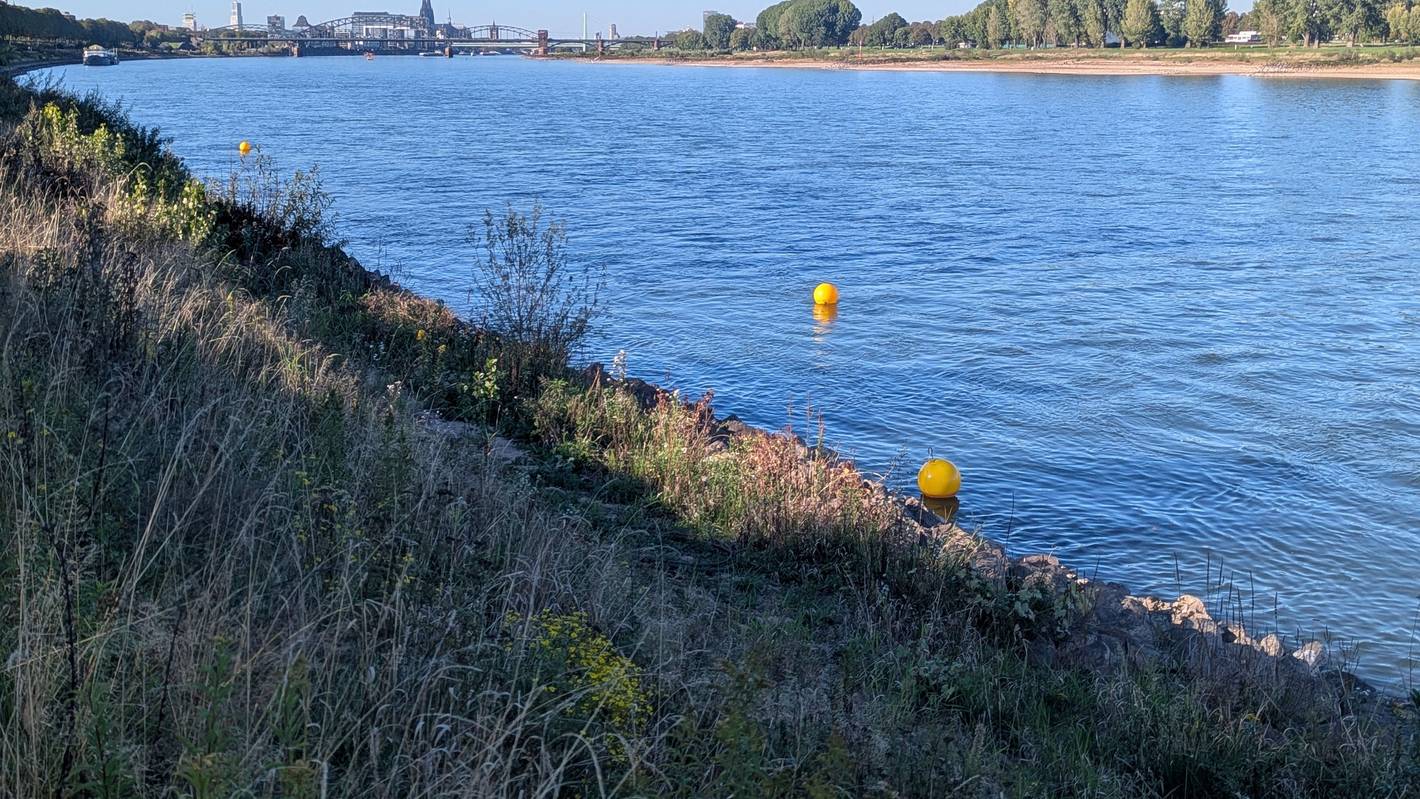 Im Rhein sind zwei kugelförmige Bojen nahe des Ufers zu sehen.