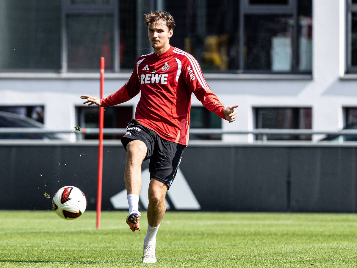 Rav van den Berg im Training des 1. FC Köln.