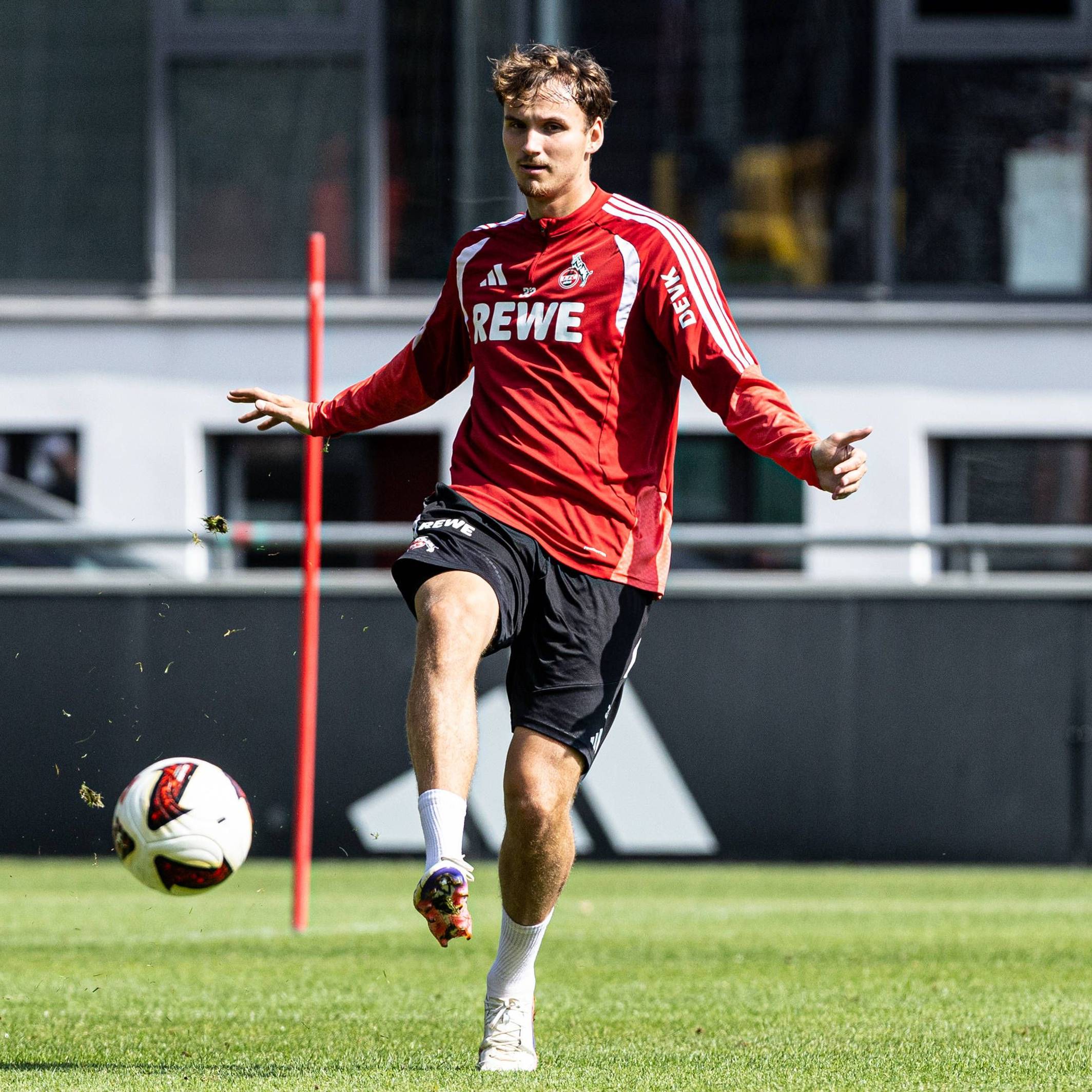Rav van den Berg im Training des 1. FC Köln.