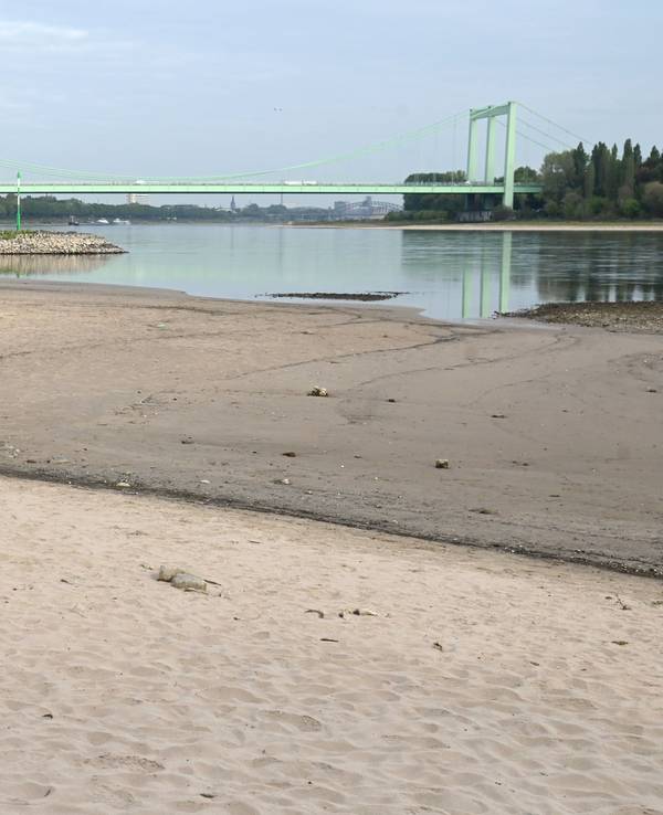 Der Rhein ist auf einen neuen Tiefststand gesunken. Am 27. September zeigte der Pegel mickrige 43 Zentimeter. Das Foto entstand am 22. September 2026.