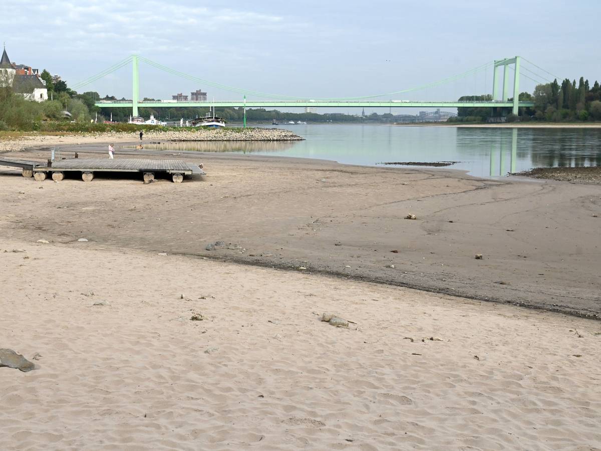 Der Rhein ist auf einen neuen Tiefststand gesunken. Am 27. September zeigte der Pegel mickrige 43 Zentimeter. Das Foto entstand am 22. September 2026.
