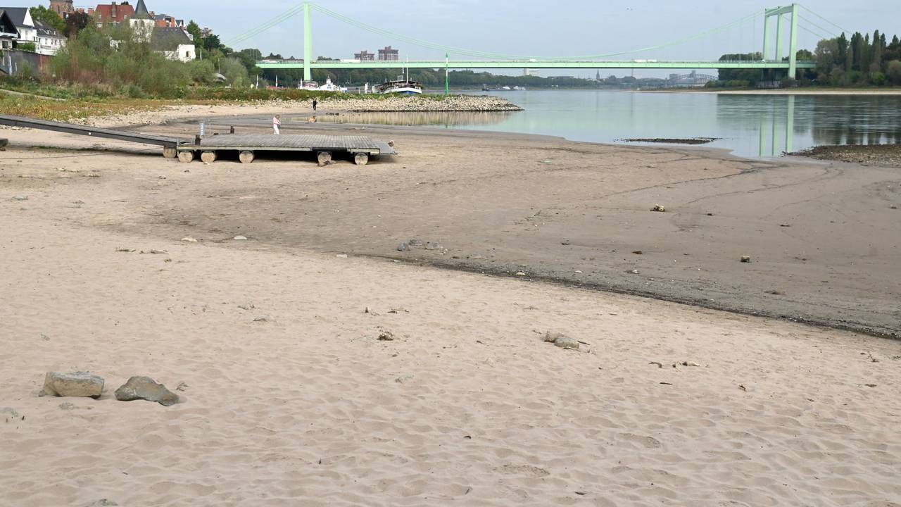 Der Rhein ist auf einen neuen Tiefststand gesunken. Am 27. September zeigte der Pegel mickrige 43 Zentimeter. Das Foto entstand am 22. September 2026.