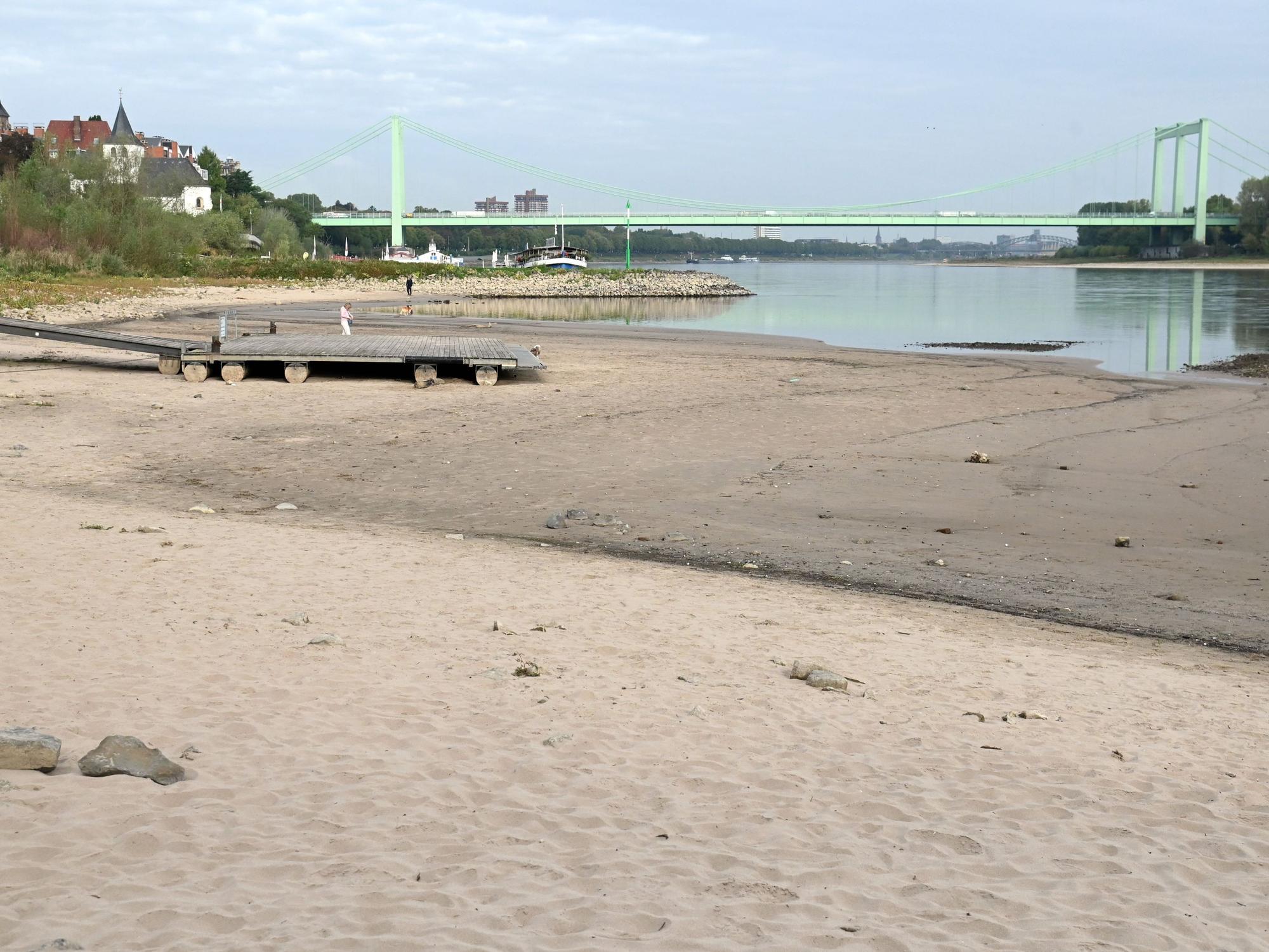 Der Rhein ist auf einen neuen Tiefststand gesunken. Am 27. September zeigte der Pegel mickrige 43 Zentimeter. Das Foto entstand am 22. September 2026.