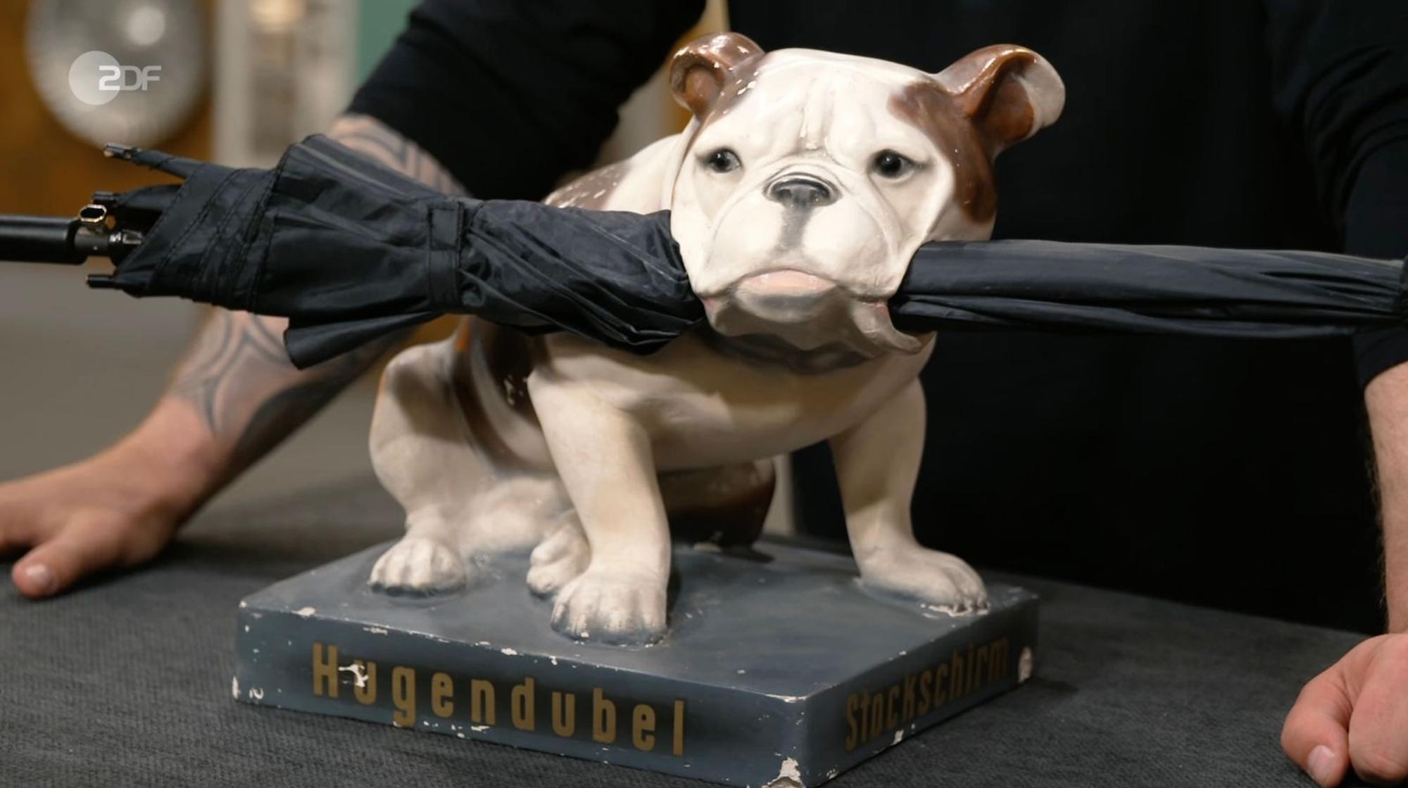 Als weiteres Objekt der Sendung wurde eine Gips-Bulldogge als Werbefigur für Regenschirme der Stuttgarter Firma Hugendubel von Sven Deutschmanek in den 1950er- oder 1960er-Jahren datiert. Der Wunschpreis lag bei 200 Euro, der Experte schätzte 300 bis 400 Euro und Markus Wildhagen zahlte 220 Euro. (Bild: ZDF)