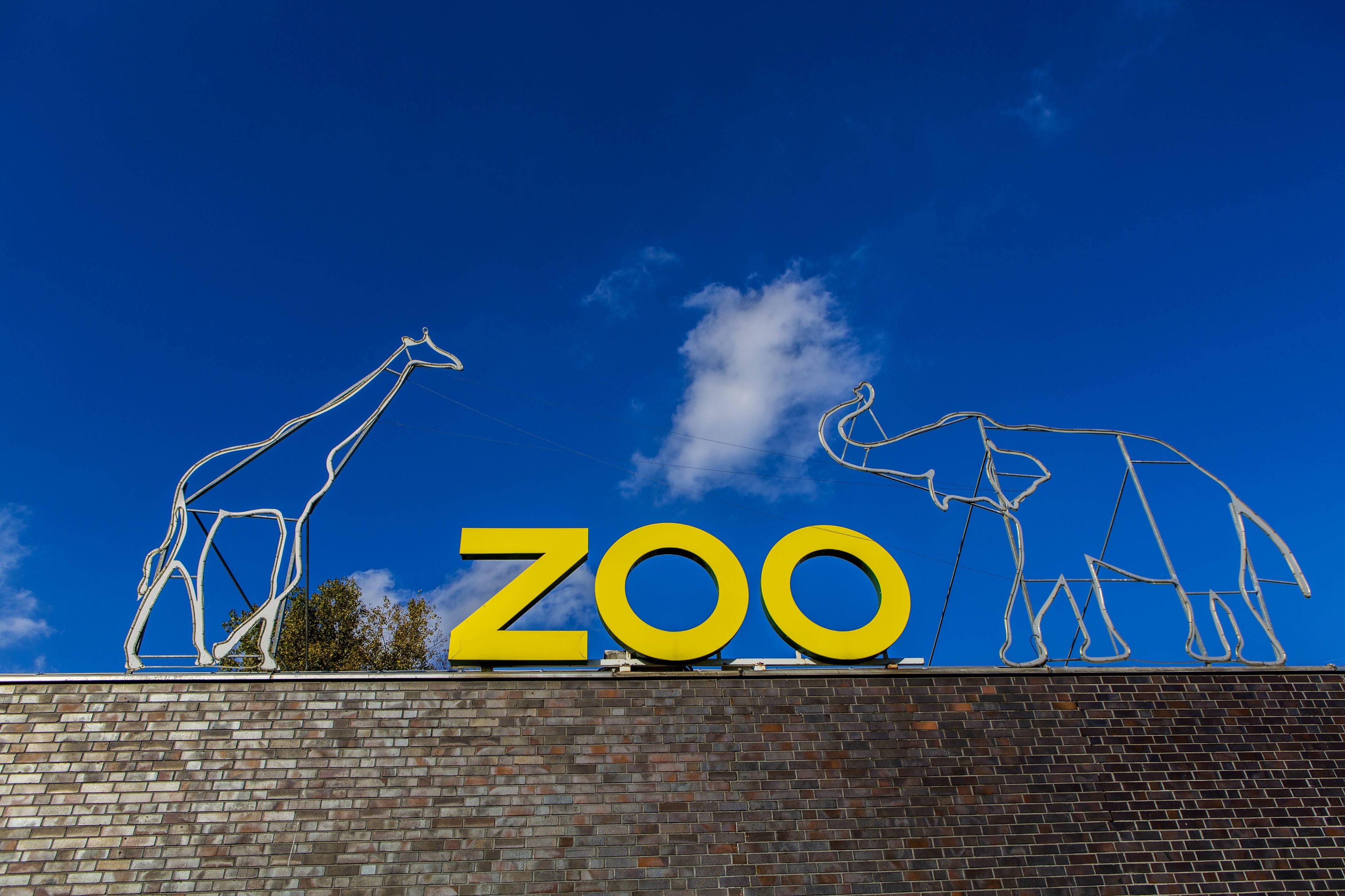 Der Kölner Zoo informiert über Vogelgrippe-Fälle. (Symbolbild)