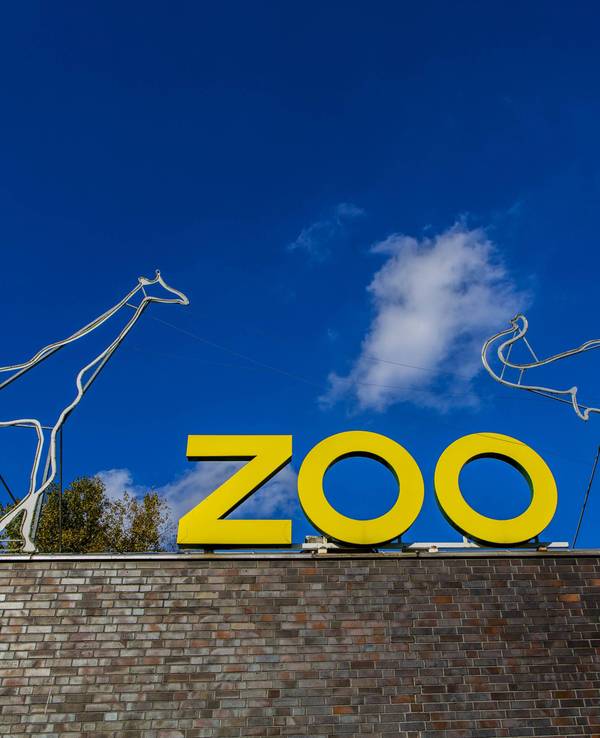 Der Kölner Zoo informiert über Vogelgrippe-Fälle. (Symbolbild)