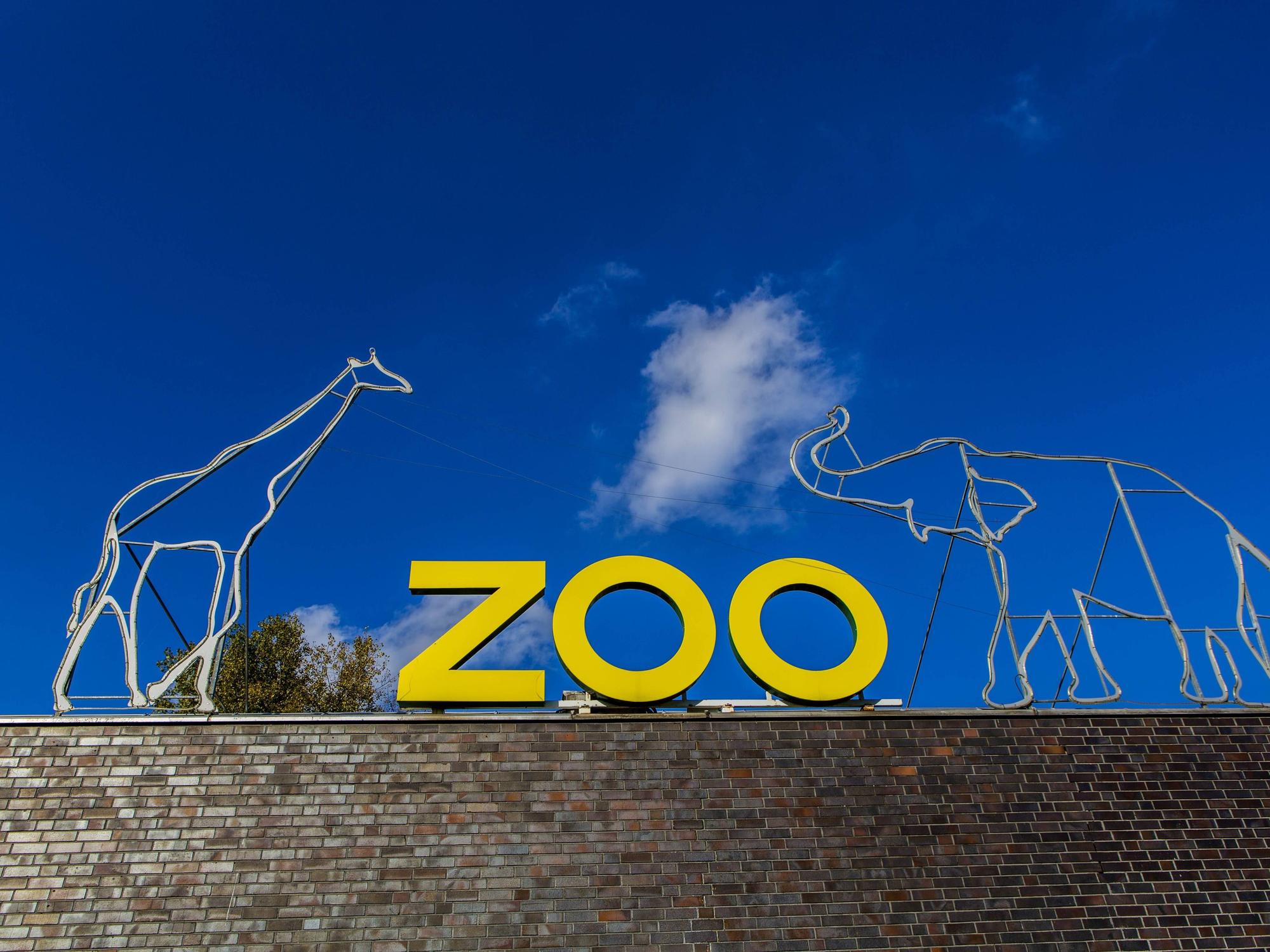 Der Kölner Zoo informiert über Vogelgrippe-Fälle. (Symbolbild)