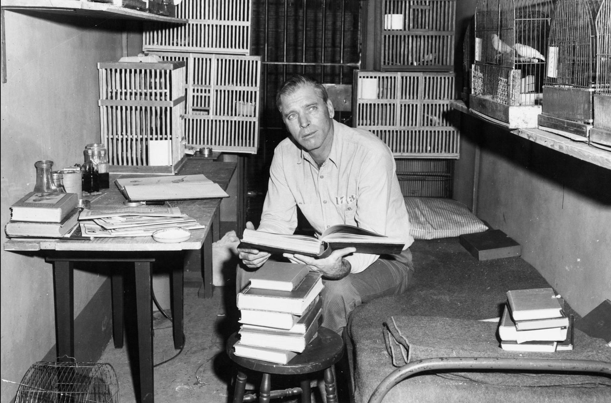 Robert Franklin Stroud (Burt Lancaster) wird im Gefängnis bald „Birdman“ genannt: Er erforscht intensiv das Verhalten von Vögeln, was ihm zur neuen Lebensaufgabe wird. (Bild: 1962 Metro-Goldwyn-Mayer Studios Inc. / All rights reserved)