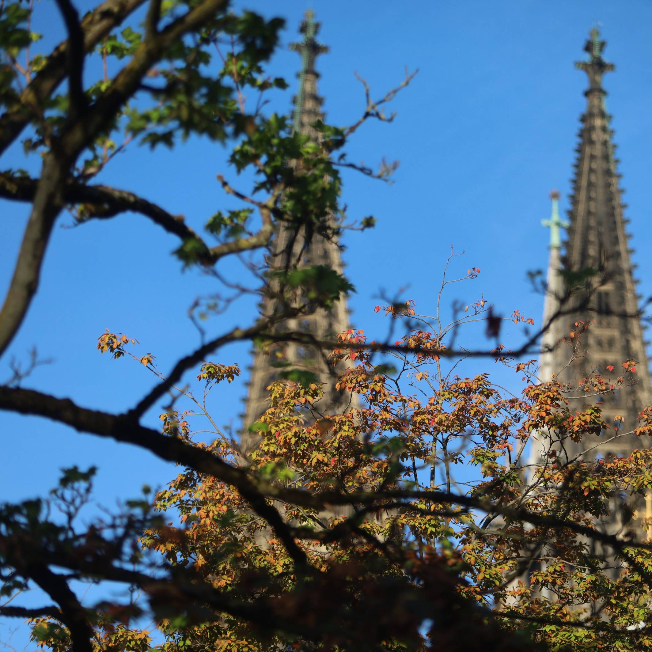 Blauer Himmel über Köln