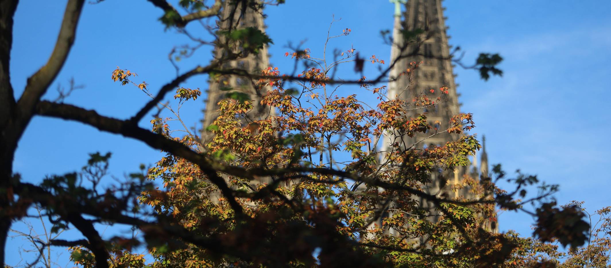 Blauer Himmel über Köln