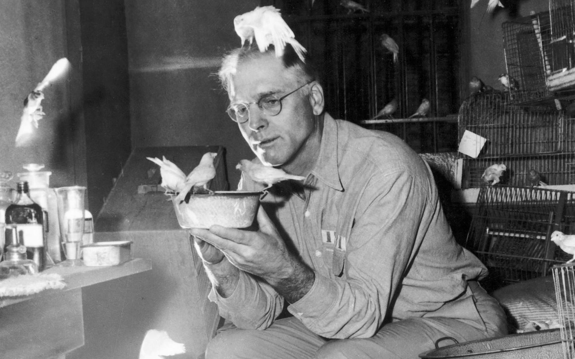 Robert Franklin Stroud (Burt Lancaster) in seiner Gefängniszelle, wo er viele Vögel hält: Das Studium ihres Verhaltens wird zu seiner neuen Lebensaufgabe. (Bild: 1962 Metro-Goldwyn-Mayer Studios Inc. / All rights reserved)