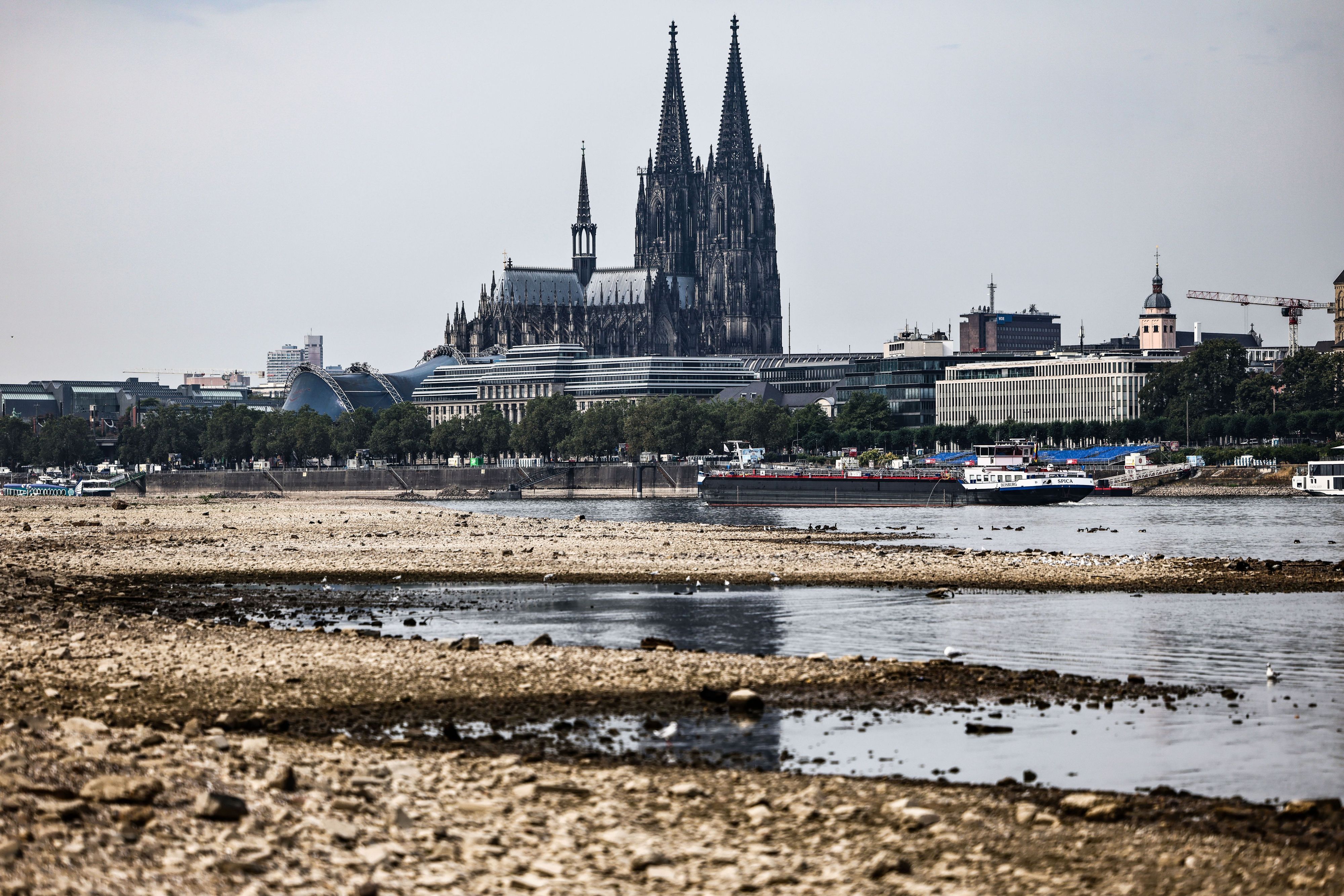 Der Kölner Rhein erreicht einen neuen Tiefstand. (Archivbild)