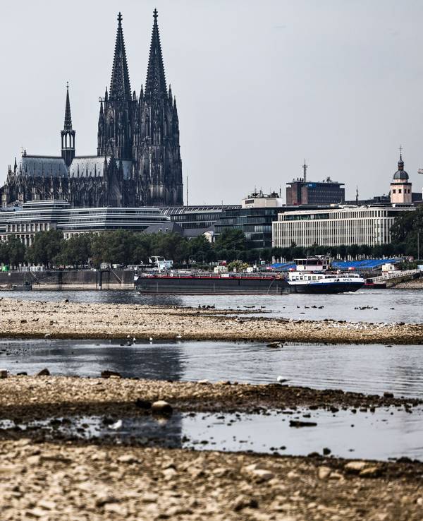 Der Kölner Rhein erreicht einen neuen Tiefstand. (Archivbild)