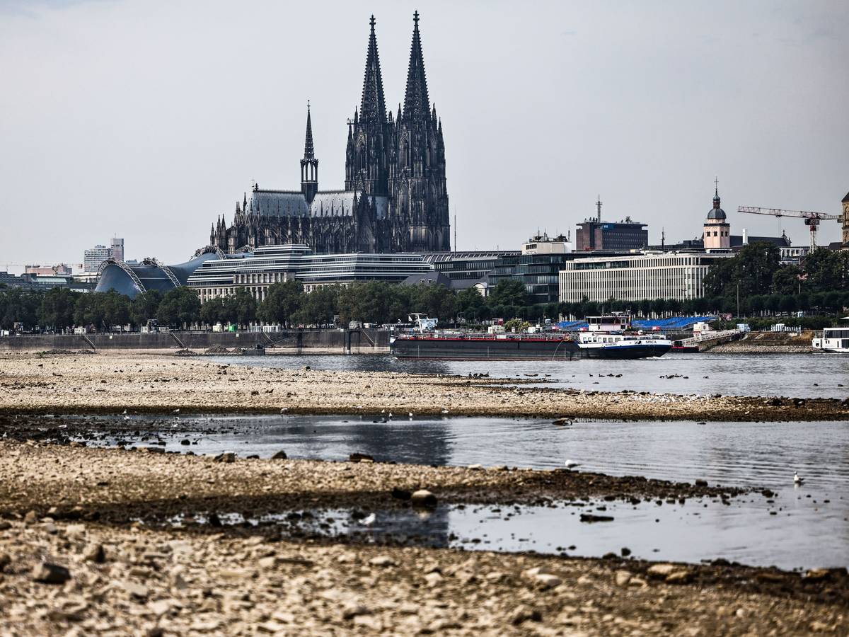 Der Kölner Rhein erreicht einen neuen Tiefstand. (Archivbild)