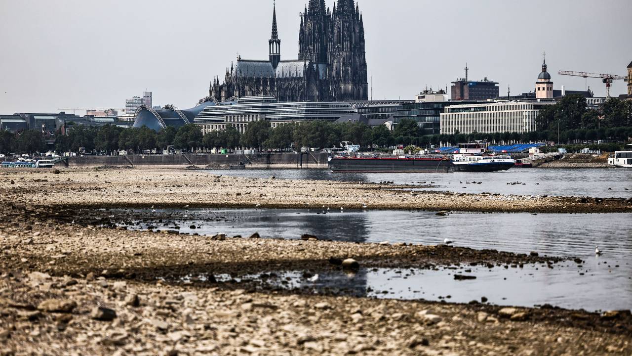 Der Kölner Rhein erreicht einen neuen Tiefstand. (Archivbild)