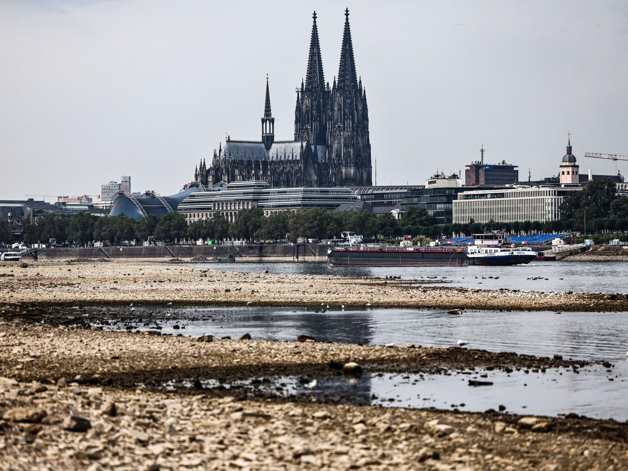 Der Kölner Rhein erreicht einen neuen Tiefstand. (Archivbild)