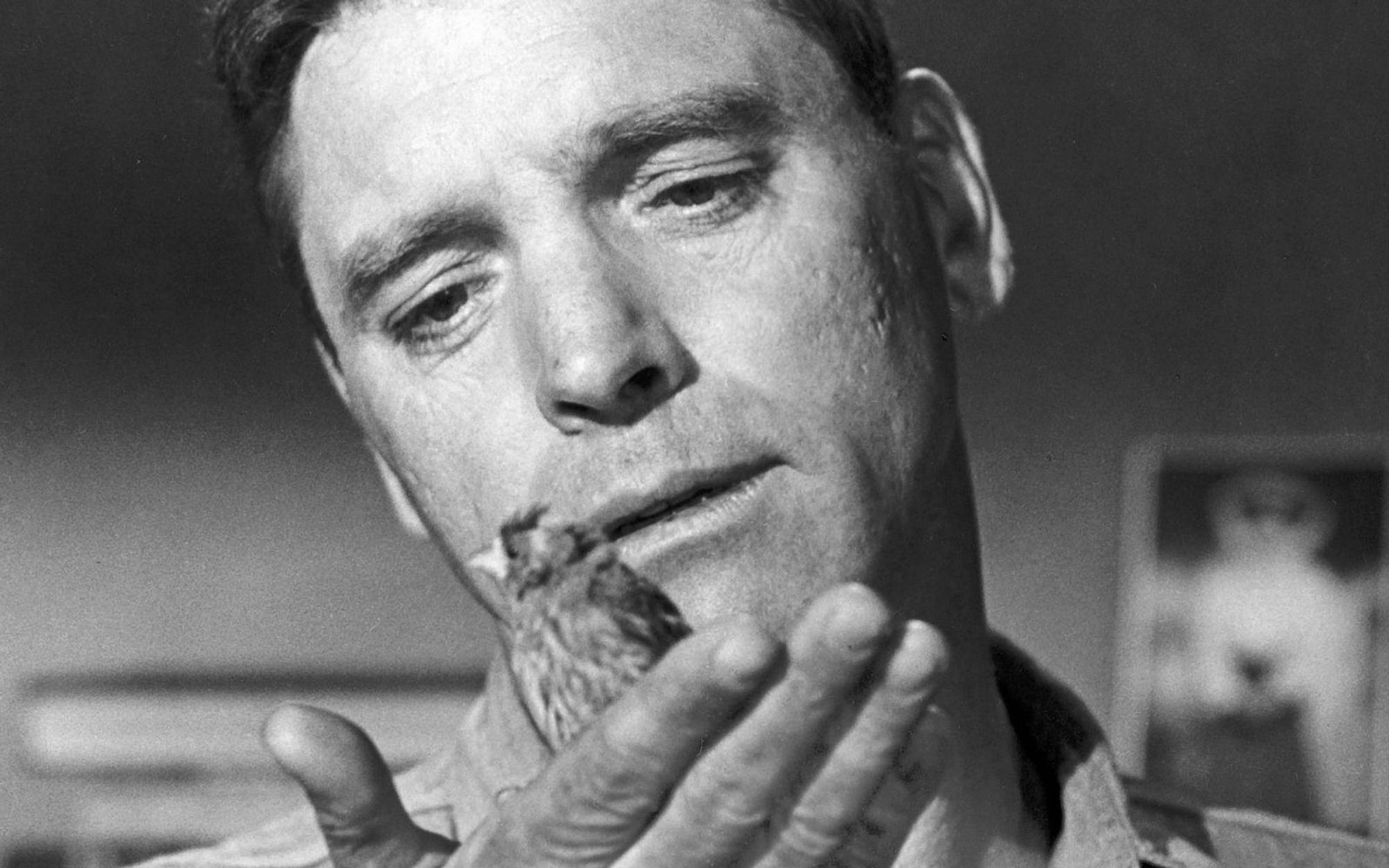 Robert Franklin Stroud (Burt Lancaster) wird vom Mörder zum Vogelexperten in einer berührenden Geschichte über Schuld, Hoffnung und Menschlichkeit. (Bild: 1962 Metro-Goldwyn-Mayer Studios Inc. / All rights reserved)