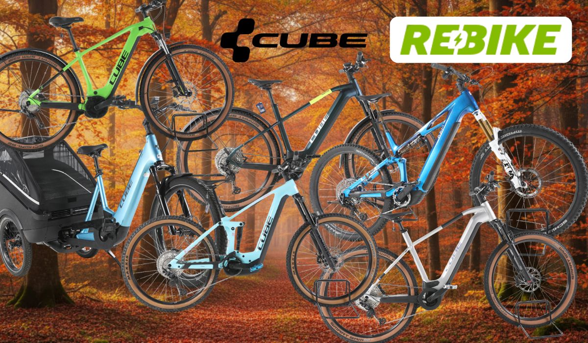 Cube E-Bikes, City Bikes, Mountainbikes, Lastenrad vor einer Landstraße im Grünen mit Bäumen, Wald und Wiesen im Hintergrund und blauem Himmel.