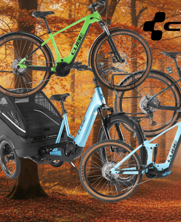 Cube E-Bikes, City Bikes, Mountainbikes, Lastenrad vor einer Landstraße im Grünen mit Bäumen, Wald und Wiesen im Hintergrund und blauem Himmel.