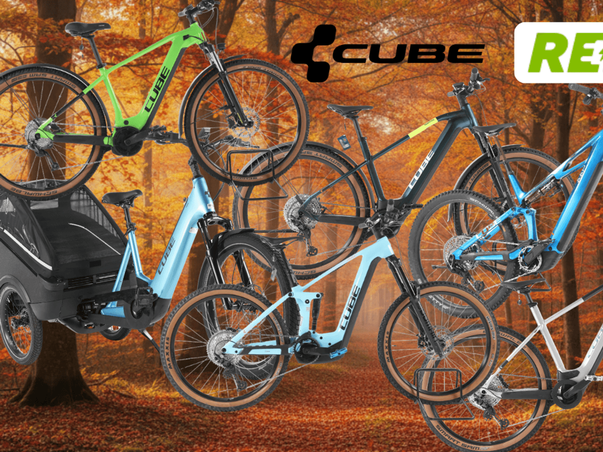 Cube E-Bikes, City Bikes, Mountainbikes, Lastenrad vor einer Landstraße im Grünen mit Bäumen, Wald und Wiesen im Hintergrund und blauem Himmel.