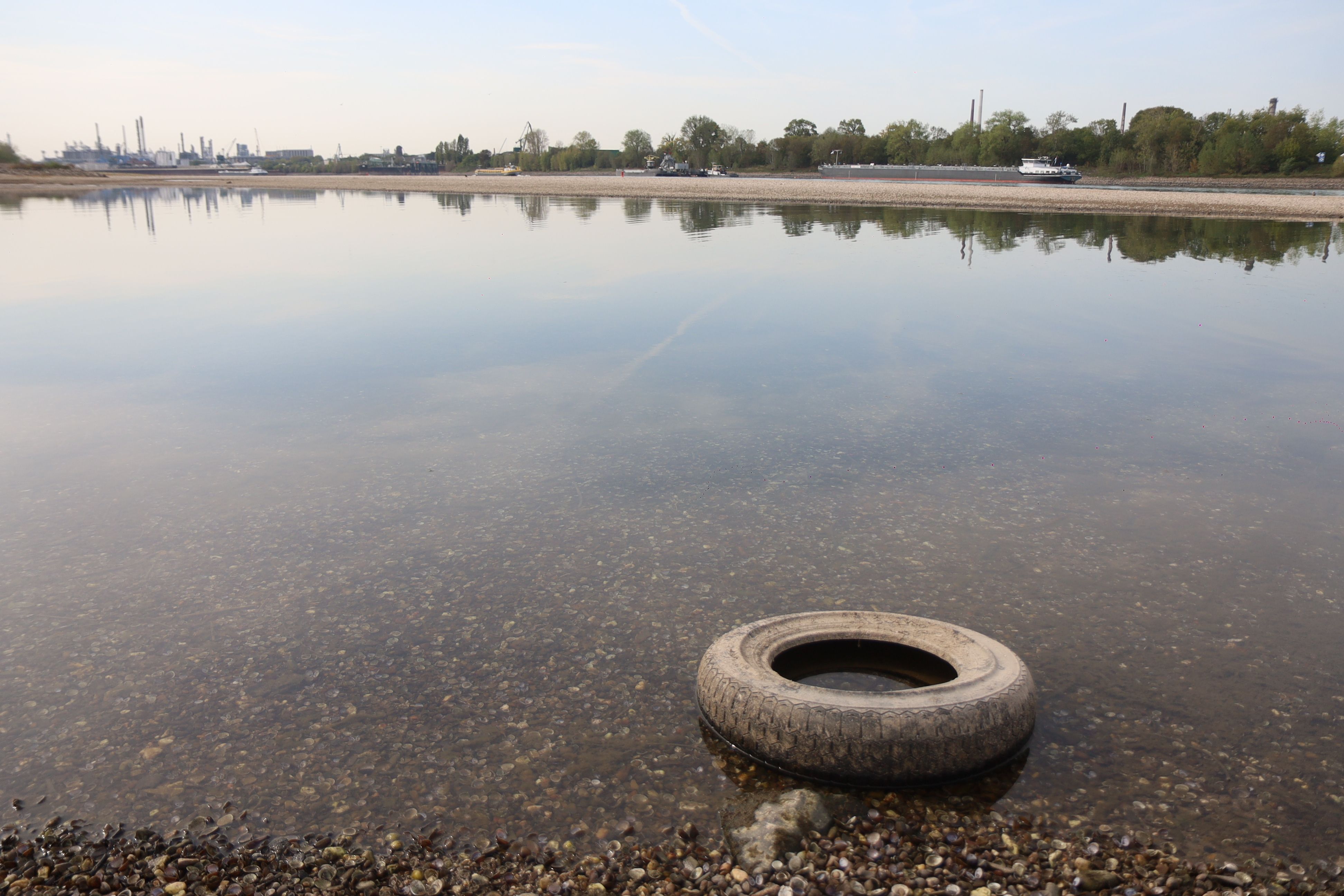 Der Rhein führt extremes Niedrigwasser, in der Nacht wurde ein Pegelstand von nur noch 40 cm und damit ein neuer historischer Rekord erreicht.