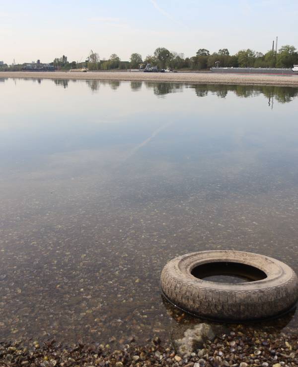 Der Rhein führt extremes Niedrigwasser, in der Nacht wurde ein Pegelstand von nur noch 40 cm und damit ein neuer historischer Rekord erreicht.