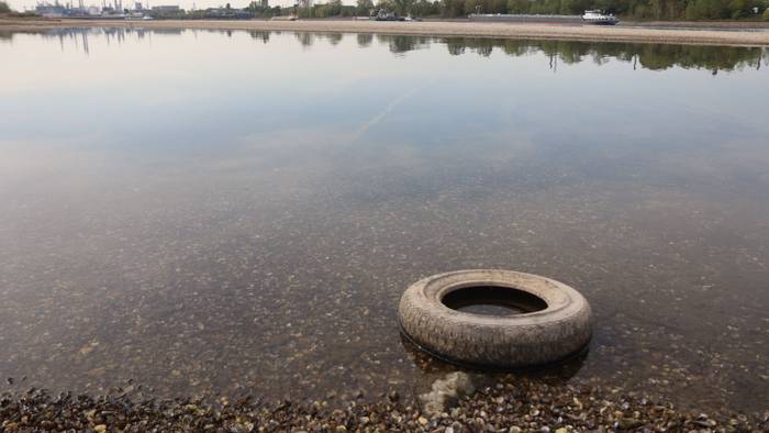 Der Rhein führt extremes Niedrigwasser, in der Nacht wurde ein Pegelstand von nur noch 40 cm und damit ein neuer historischer Rekord erreicht.