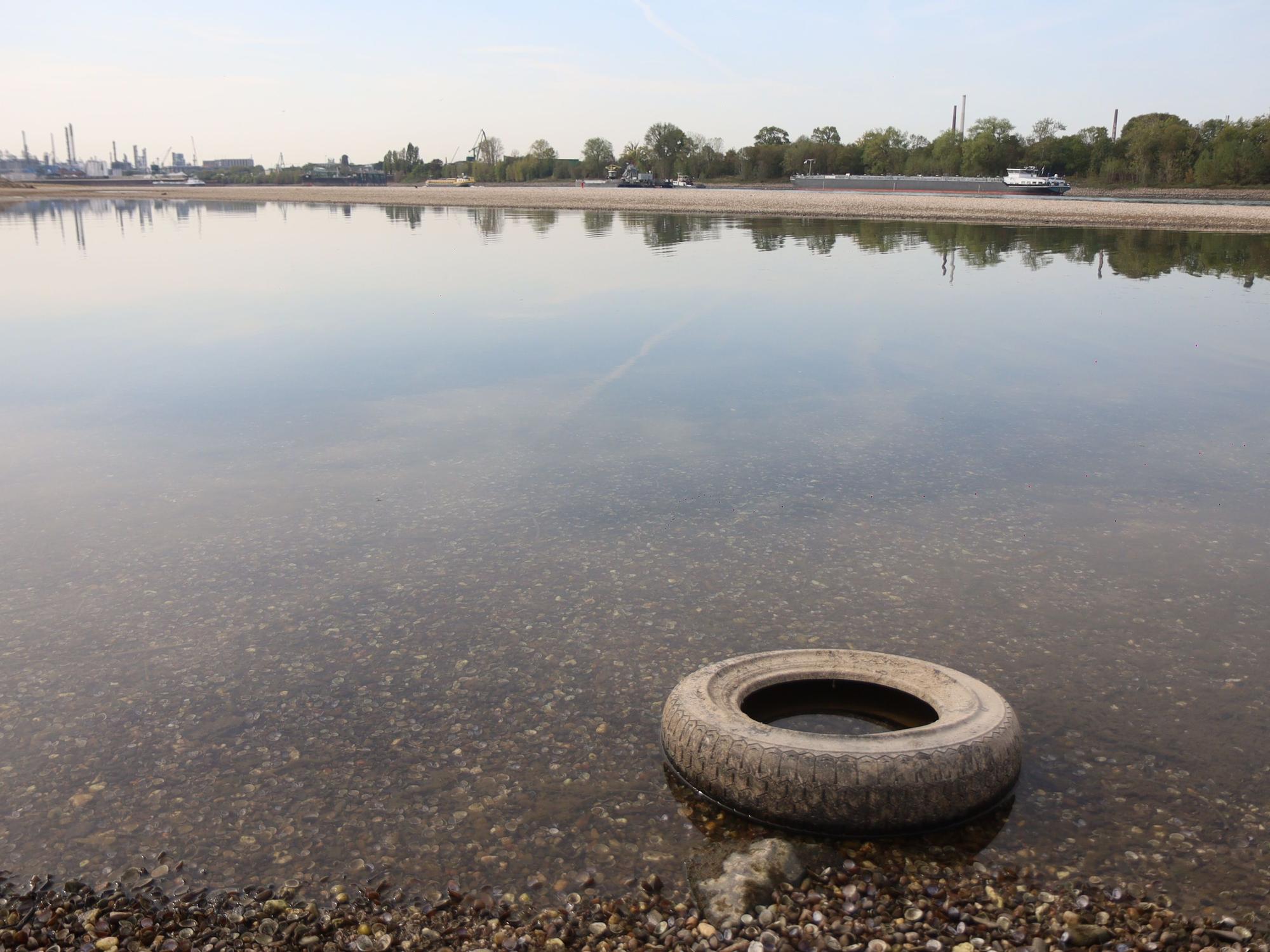 Der Rhein führt extremes Niedrigwasser, in der Nacht wurde ein Pegelstand von nur noch 40 cm und damit ein neuer historischer Rekord erreicht.