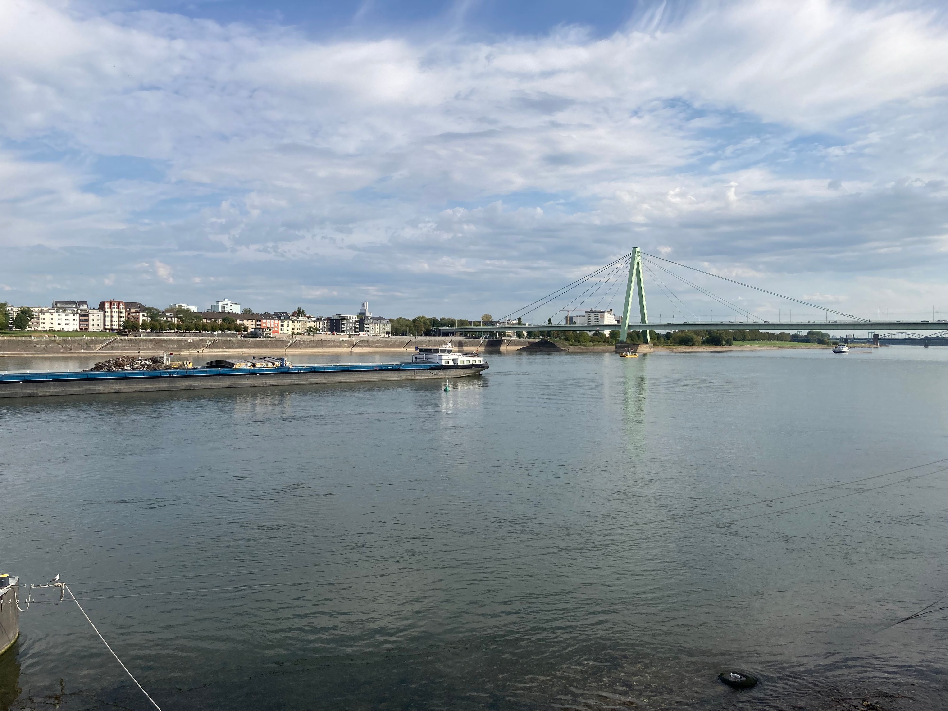 Blick über den Rhein auf den geplanten Standort des Hochhauses (links neben der Brückenpylone am Rheinufer).