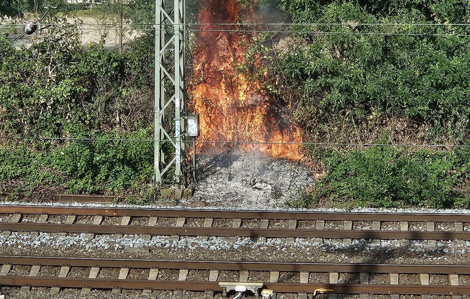Ein Feuer an der Bahnstrecke in Düsseldorf sorgt für Behinderungen im Bahnverkehr.