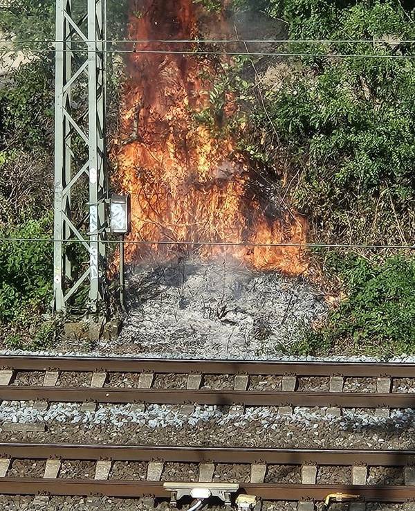Ein Feuer an der Bahnstrecke in Düsseldorf sorgte für Behinderungen im Bahnverkehr.