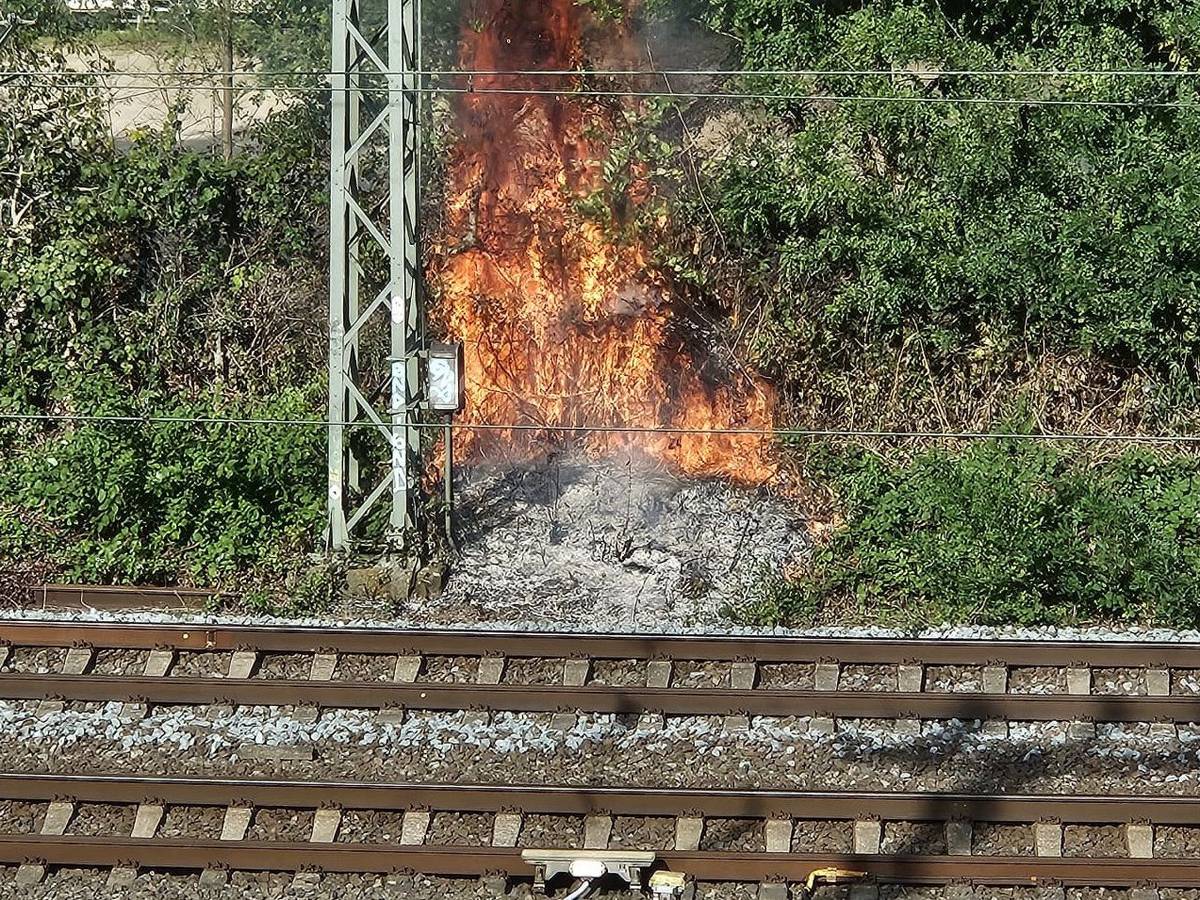 Ein Feuer an der Bahnstrecke in Düsseldorf sorgt für Behinderungen im Bahnverkehr.