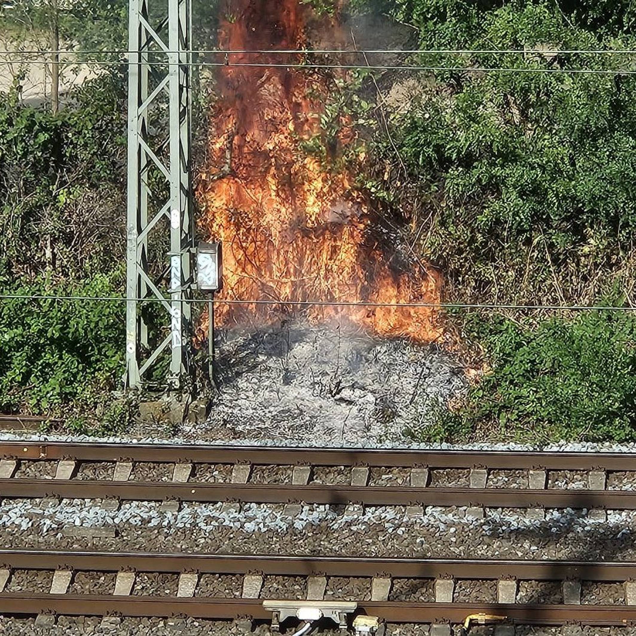 Ein Feuer an der Bahnstrecke in Düsseldorf sorgte für Behinderungen im Bahnverkehr.