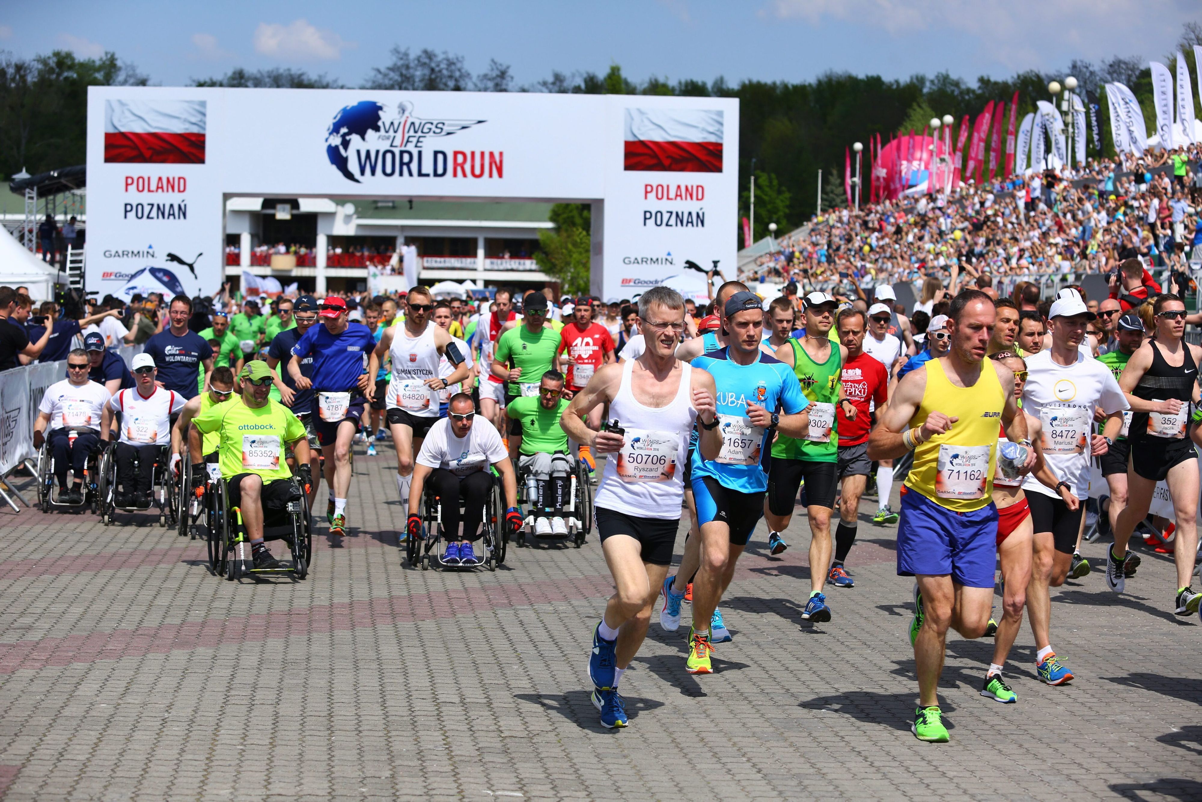 Wings for Life World Run 2016 in Poznan