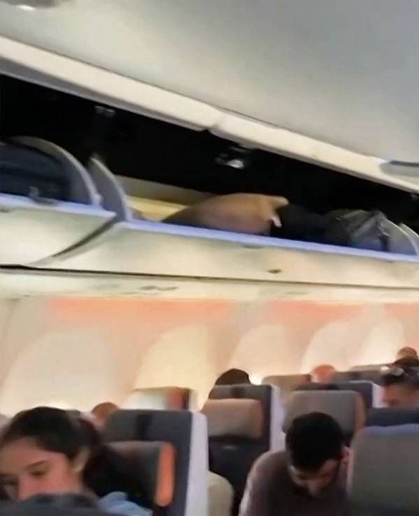 Dieser Screenshot vom 30. September 2026 zeigt Passagiere an Bord des umgeleiteten Flydubai-Flugs FZ 1073 vor dem Start in Richtung Tel Aviv vom Flughafen Tabuk in Saudi-Arabien.