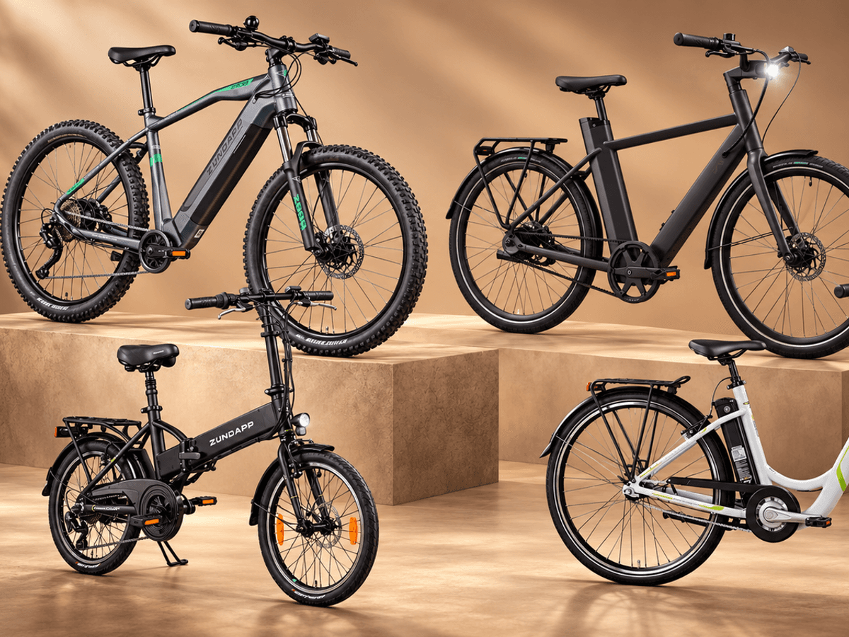 Vier E-Bikes, Modelle für Stadt, Pendelstrecke, Tour und Gelände.