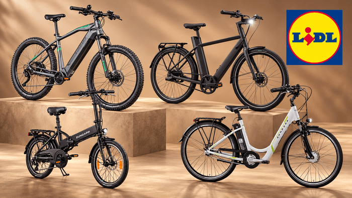 Vier E-Bikes, Modelle für Stadt, Pendelstrecke, Tour und Gelände.
