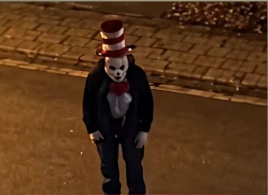 Mit diesem Foto ging ein Influencer in Köln auf die Suche nach der vermeintlichen Grusel-Katze „Cat in the Hat“. Eine Prüfung des Fotos ergab, dass es von einer KI erstellt wurde.