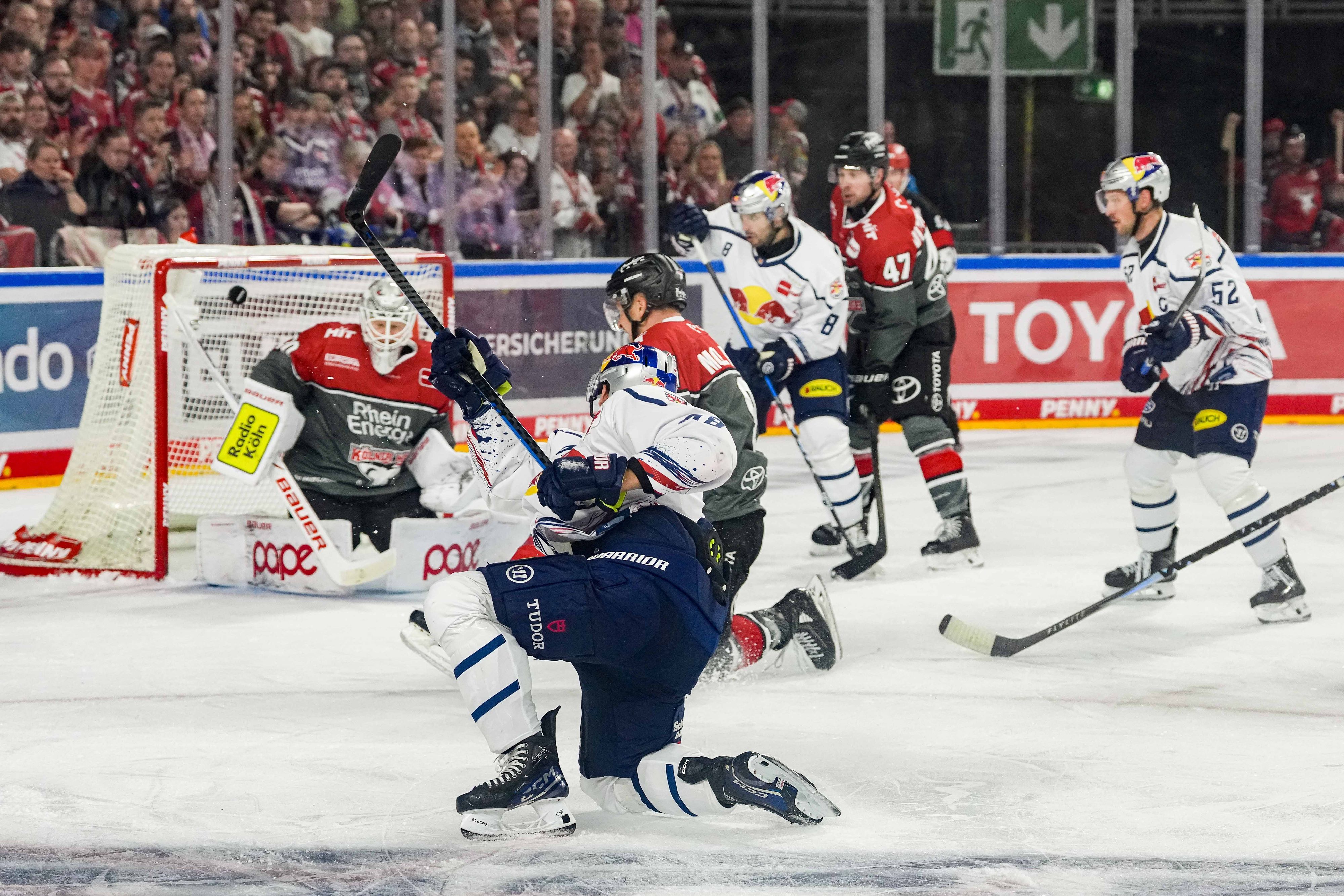 Tor für Red Bull München im DEL-Spiel gegen die Kölner Haie.