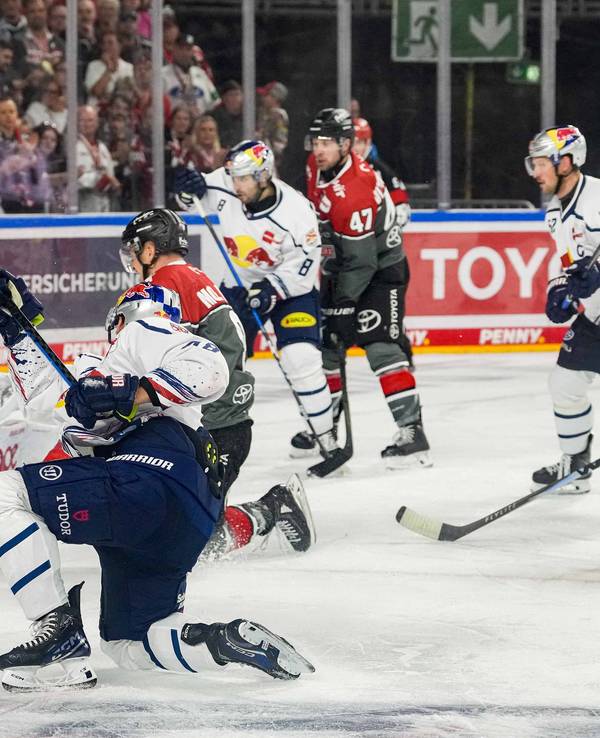 Tor für Red Bull München im DEL-Spiel gegen die Kölner Haie.