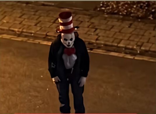 Mit diesem Foto ging ein Influencer in Köln auf die Suche nach der vermeintlichen Grusel-Katze „Cat in the Hat“. Eine Prüfung des Fotos ergab, dass es von einer KI erstellt wurde.