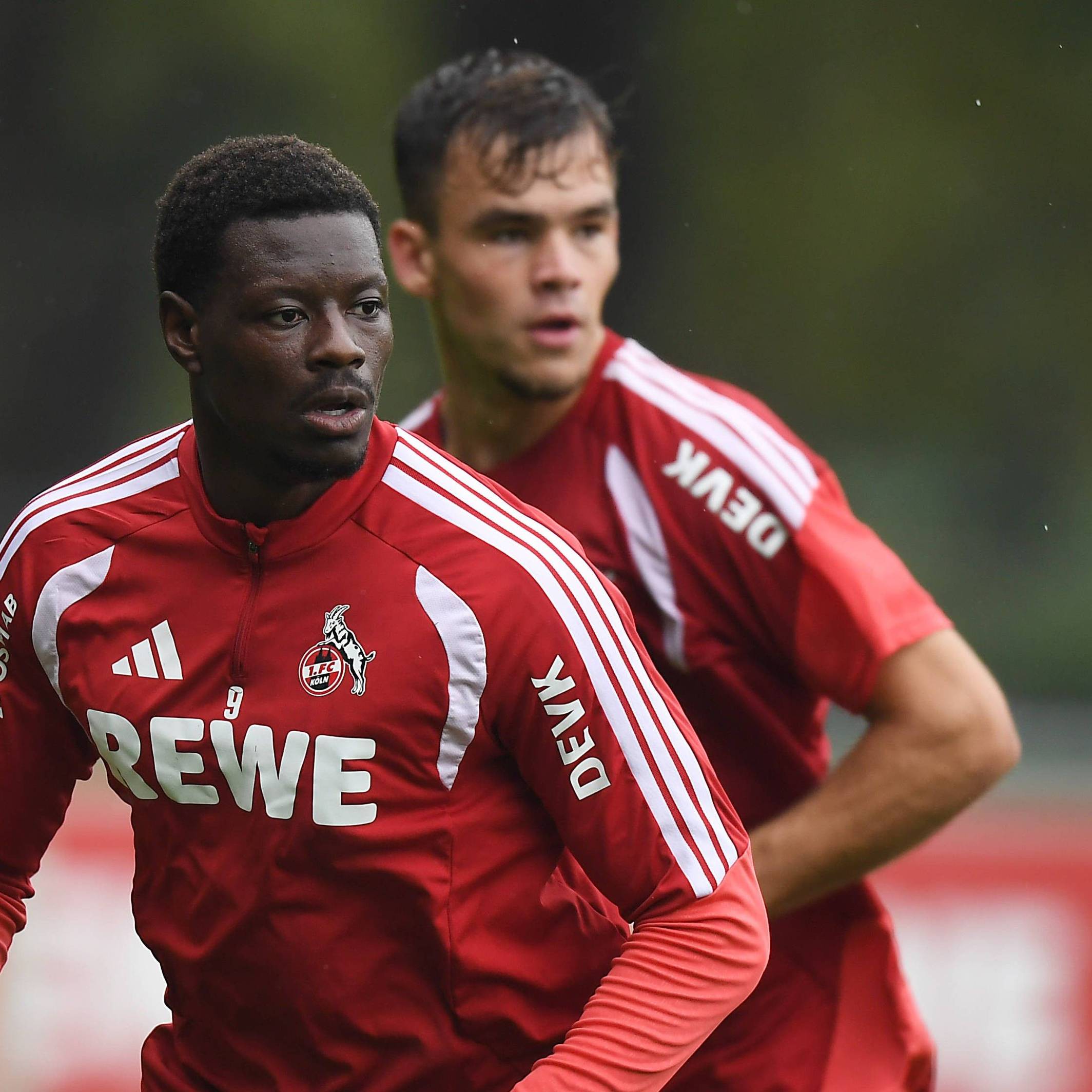 Training beim 1. FC Köln mit Ragnar Ache und Thijs Dallinga.