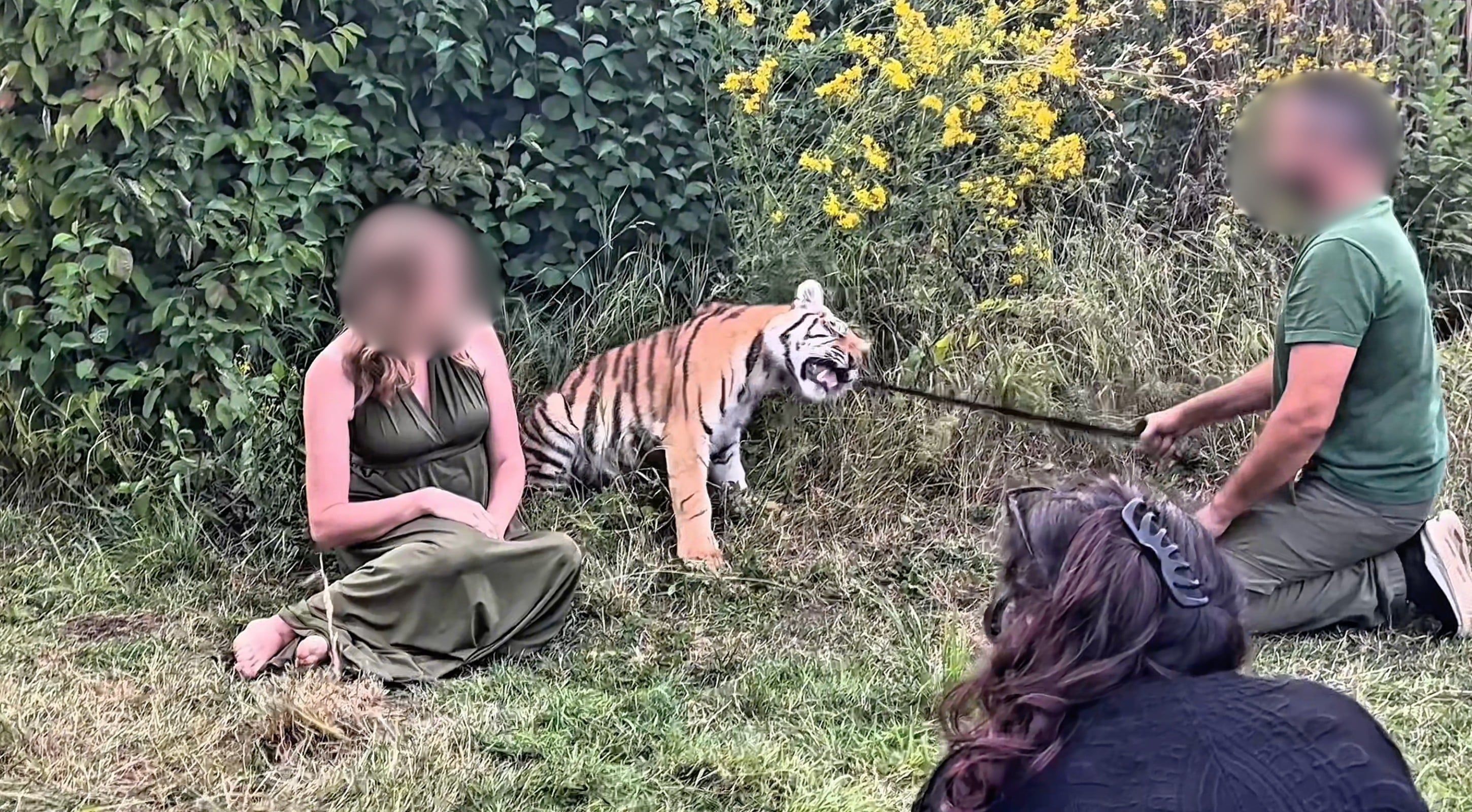 Die Tierschutzorganisation VETO veröffentlichte Aufnahmen von einem sogenannten Wildtiershooting in Wachtberg-Berkum, das Ende August stattfand.