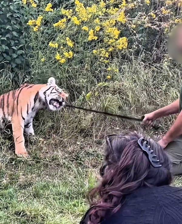 Die Tierschutzorganisation VETO veröffentlichte Aufnahmen von einem sogenannten Wildtiershooting in Wachtberg-Berkum, das Ende August stattfand.